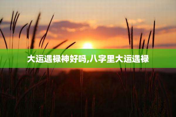 大运遇禄神好吗,八字里大运遇禄