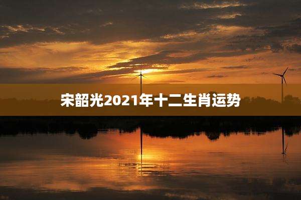 宋韶光2021年十二生肖运势