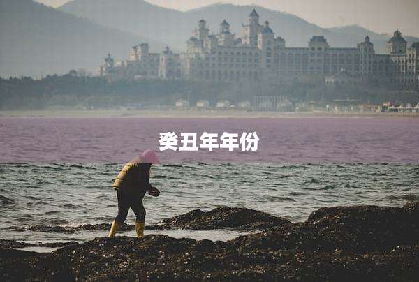 癸丑年年份