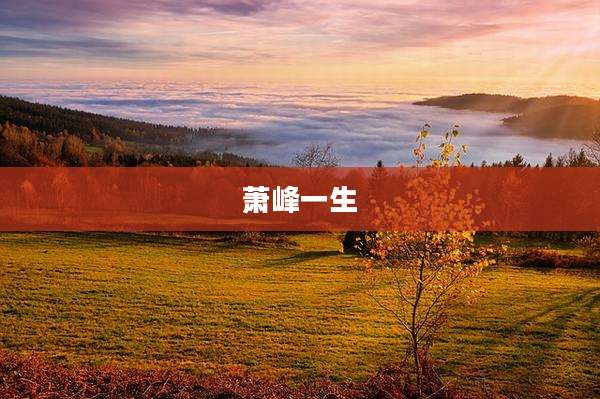 萧峰一生
