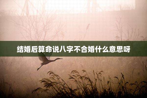 结婚后算命说八字不合婚什么意思呀