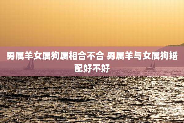 男属羊女属狗属相合不合 男属羊与女属狗婚配好不好