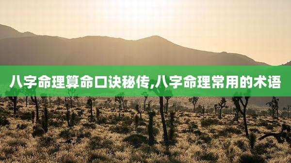 八字命理算命口诀秘传,八字命理常用的术语