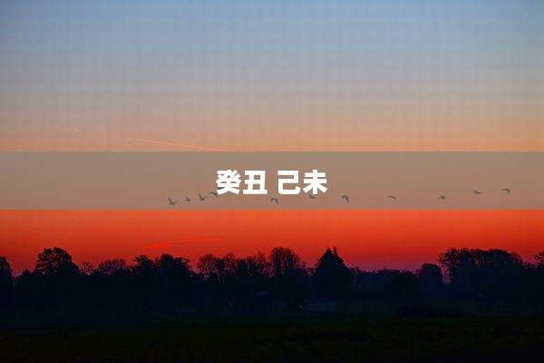 癸丑 己未