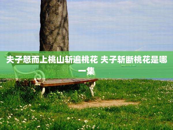 夫子怒而上桃山斩遍桃花 夫子斩断桃花是哪一集