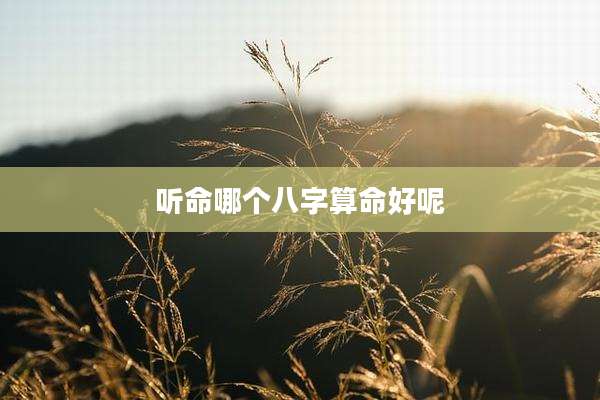 听命哪个八字算命好呢