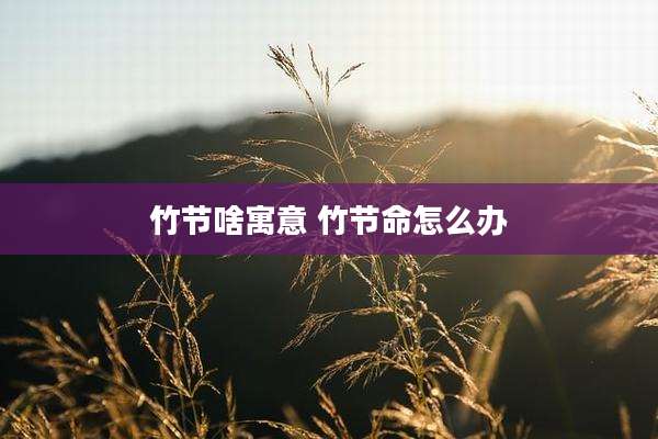 竹节啥寓意 竹节命怎么办