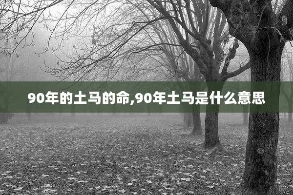 90年的土马的命,90年土马是什么意思