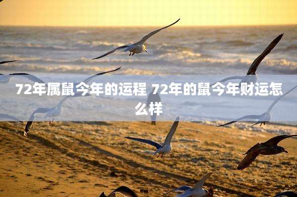 72年属鼠今年的运程 72年的鼠今年财运怎么样
