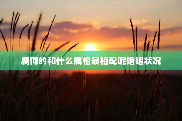 属狗的和什么属相最相配呢婚姻状况
