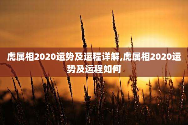 虎属相2020运势及运程详解,虎属相2020运势及运程如何