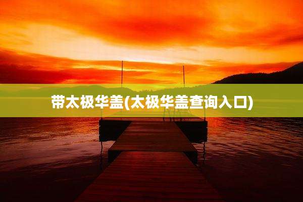 带太极华盖(太极华盖查询入口)