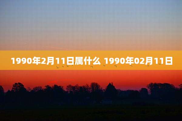 1990年2月11日属什么 1990年02月11日
