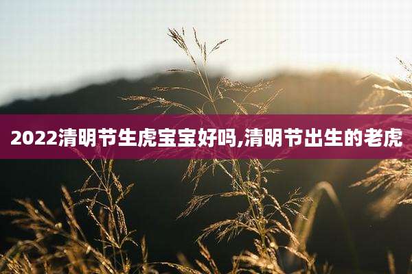 2022清明节生虎宝宝好吗,清明节出生的老虎