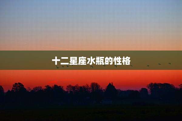 十二星座水瓶的性格