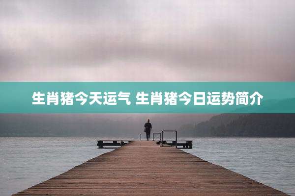 生肖猪今天运气 生肖猪今日运势简介