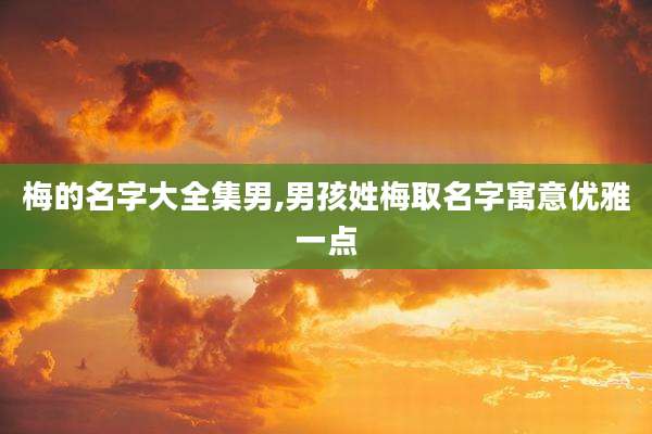 梅的名字大全集男,男孩姓梅取名字寓意优雅一点