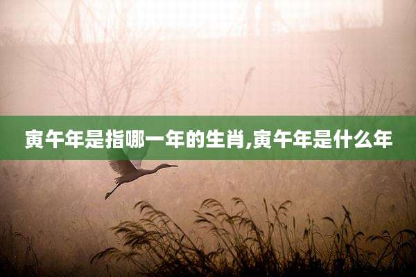 寅午年是指哪一年的生肖,寅午年是什么年