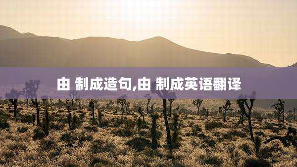 由 制成造句,由 制成英语翻译