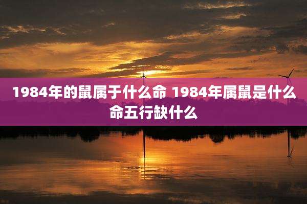 1984年的鼠属于什么命 1984年属鼠是什么命五行缺什么