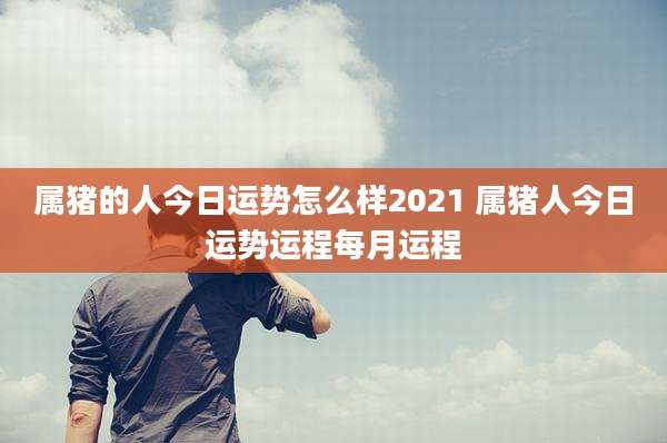 属猪的人今日运势怎么样2021 属猪人今日运势运程每月运程