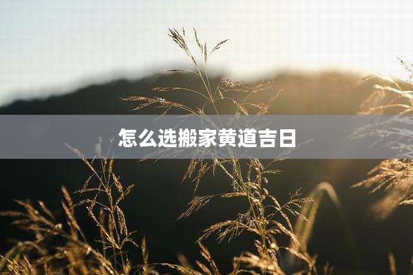 怎么选搬家黄道吉日