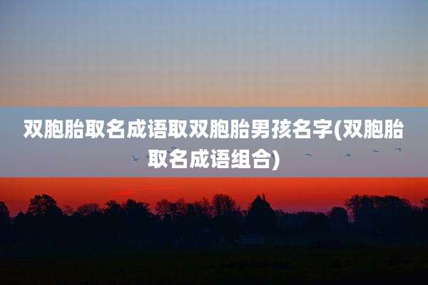 双胞胎取名成语取双胞胎男孩名字(双胞胎取名成语组合)