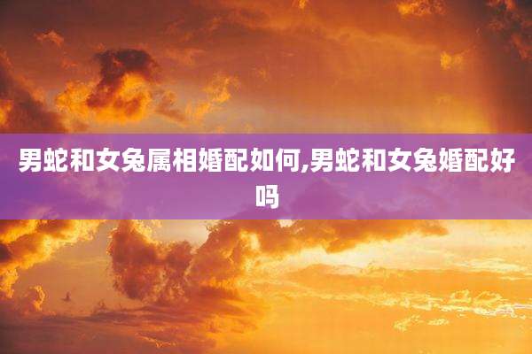 男蛇和女兔属相婚配如何,男蛇和女兔婚配好吗