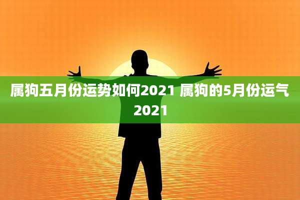 属狗五月份运势如何2021 属狗的5月份运气2021