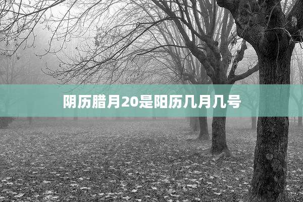 阴历腊月20是阳历几月几号