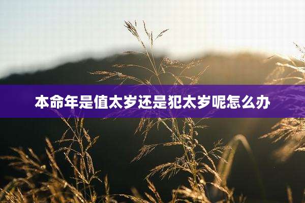 本命年是值太岁还是犯太岁呢怎么办