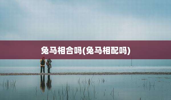 兔马相合吗(兔马相配吗)