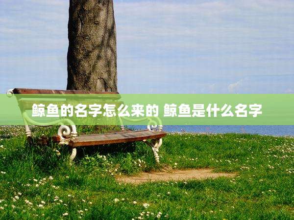 鲸鱼的名字怎么来的 鲸鱼是什么名字