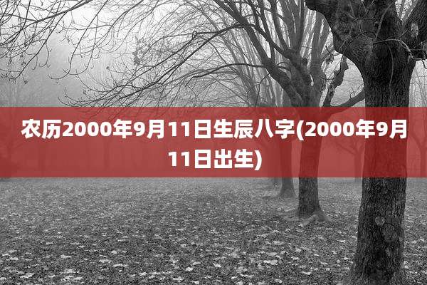农历2000年9月11日生辰八字(2000年9月11日出生)
