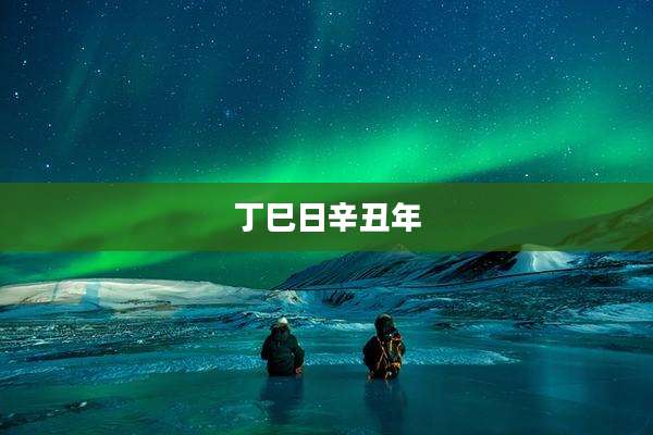 丁巳日辛丑年