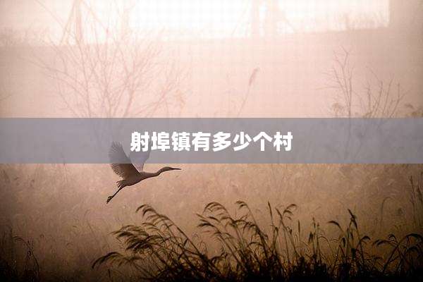 射埠镇有多少个村