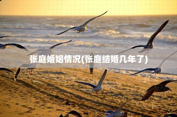 张庭婚姻情况(张庭结婚几年了)