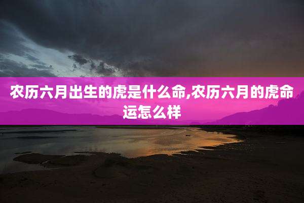 农历六月出生的虎是什么命,农历六月的虎命运怎么样