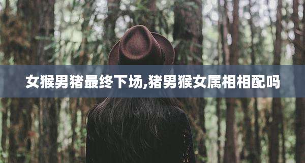 女猴男猪最终下场,猪男猴女属相相配吗