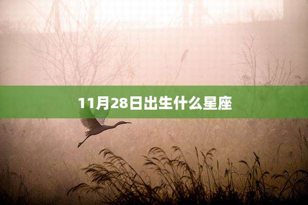11月28日出生什么星座