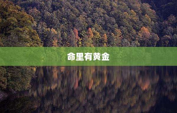 命里有黄金