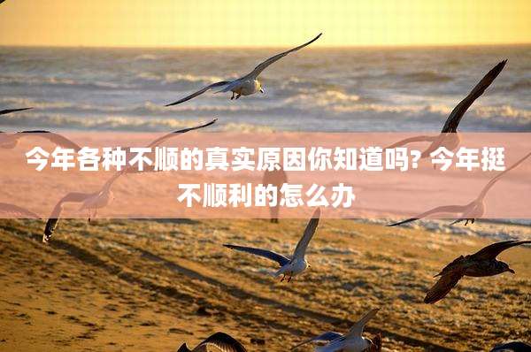 今年各种不顺的真实原因你知道吗? 今年挺不顺利的怎么办