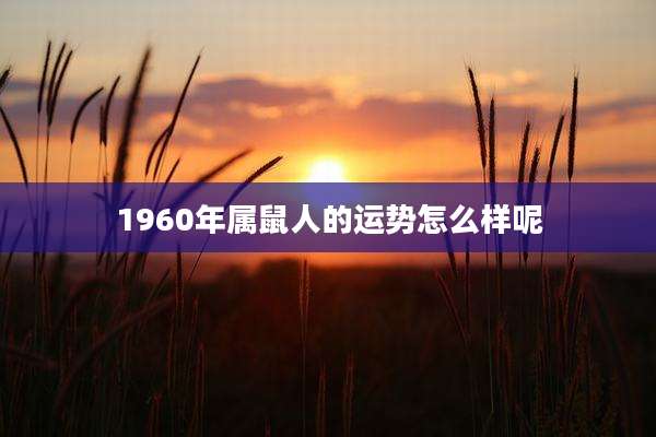 1960年属鼠人的运势怎么样呢