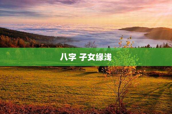 八字 子女缘浅