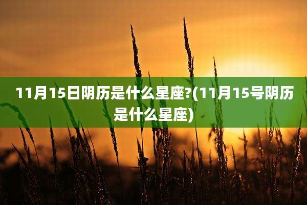11月15日阴历是什么星座?(11月15号阴历是什么星座)