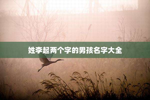 姓李起两个字的男孩名字大全