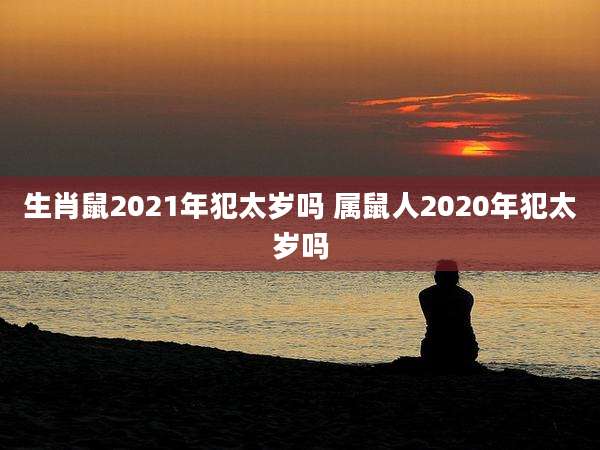 生肖鼠2021年犯太岁吗 属鼠人2020年犯太岁吗