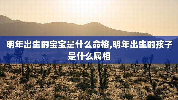 明年出生的宝宝是什么命格,明年出生的孩子是什么属相