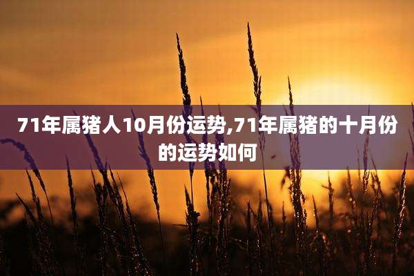 71年属猪人10月份运势,71年属猪的十月份的运势如何