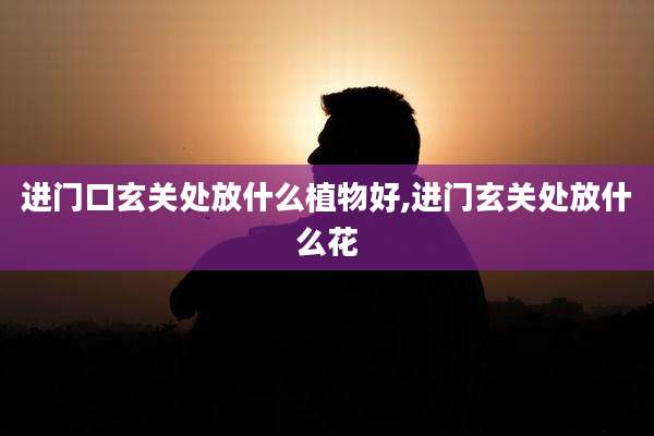 进门口玄关处放什么植物好,进门玄关处放什么花